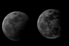 IMG_0068-scaled