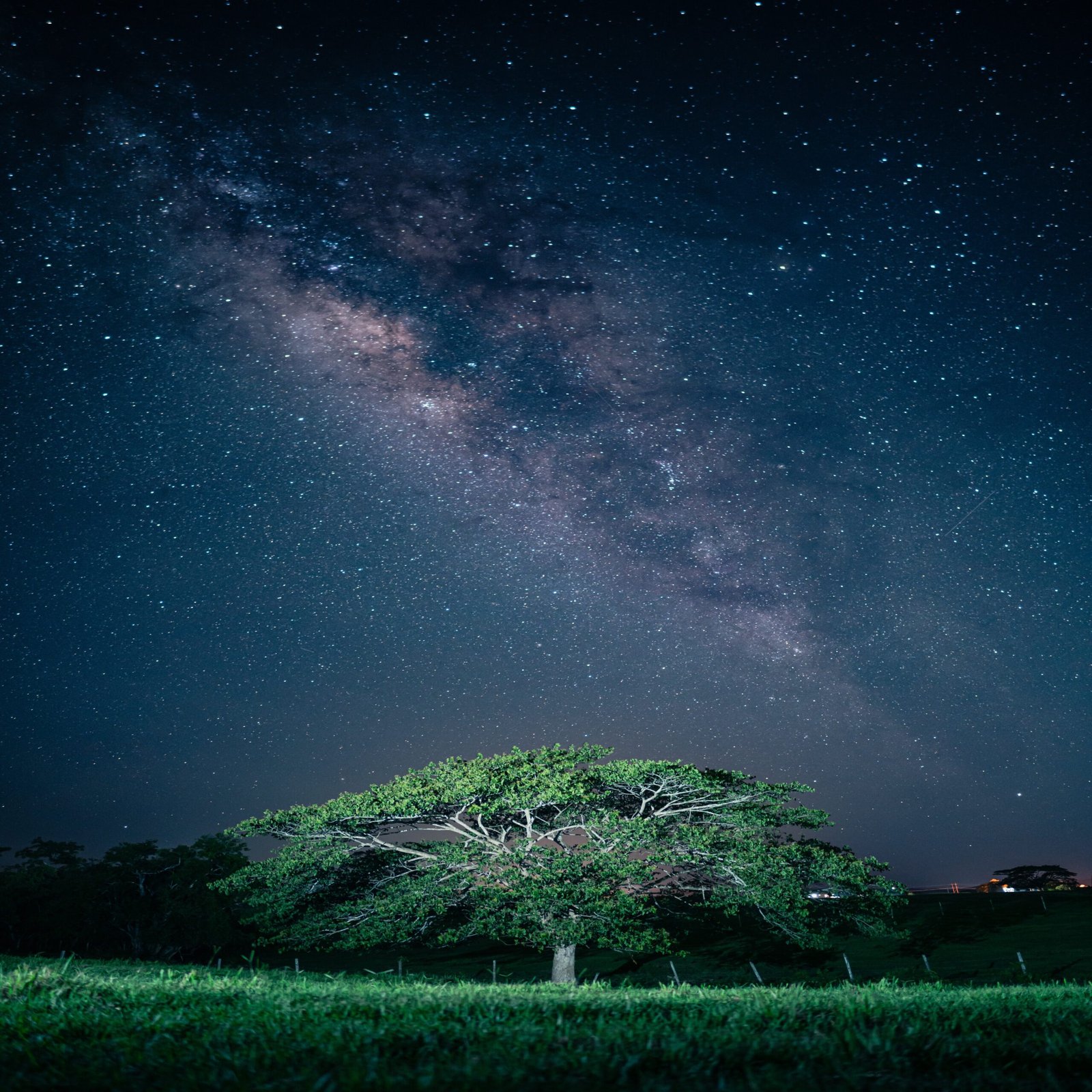 Come osservare e fotografare le stelle cadenti
